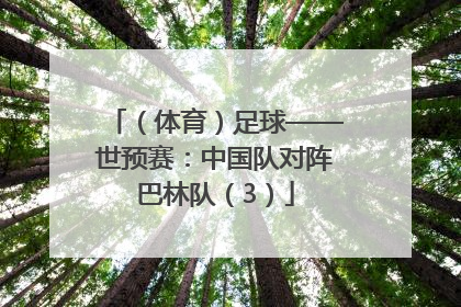（体育）足球——世预赛：中国队对阵巴林队（3）
