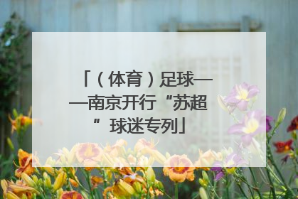 （体育）足球——南京开行“苏超”球迷专列