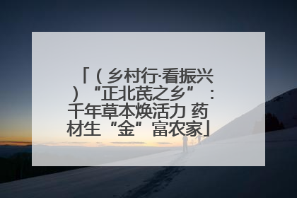 （乡村行·看振兴）“正北芪之乡”：千年草本焕活力 药材生“金”富农家