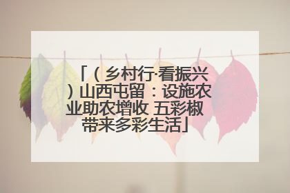（乡村行·看振兴）山西屯留：设施农业助农增收 五彩椒带来多彩生活