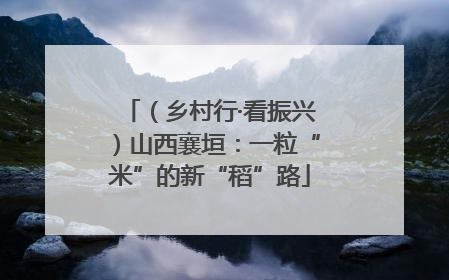 （乡村行·看振兴）山西襄垣：一粒“米”的新“稻”路