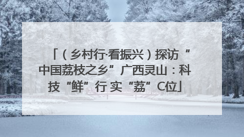 （乡村行·看振兴）探访“中国荔枝之乡”广西灵山：科技“鲜”行 实“荔”C位