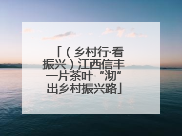 （乡村行·看振兴）江西信丰一片茶叶“沏”出乡村振兴路