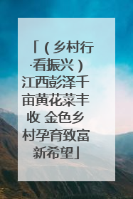 （乡村行·看振兴）江西彭泽千亩黄花菜丰收 金色乡村孕育致富新希望