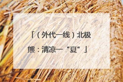 （外代一线）北极熊：清凉一“夏”