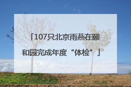 107只北京雨燕在颐和园完成年度“体检”