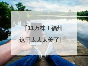 11万株！福州这里太太太美了
