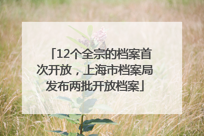 12个全宗的档案首次开放，上海市档案局发布两批开放档案