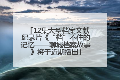 12集大型档案文献纪录片《“档”不住的记忆——聊城档案故事》将于近期播出