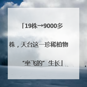 19株→9000多株，天台这一珍稀植物“坐飞的”生长