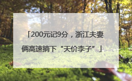 200元记9分，浙江夫妻俩高速摘下“天价李子”