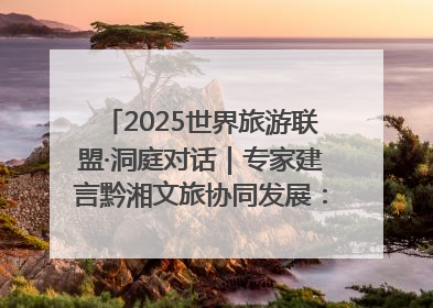 2025世界旅游联盟·洞庭对话｜专家建言黔湘文旅协同发展：聚焦产品稀缺性 深化区域经验共享