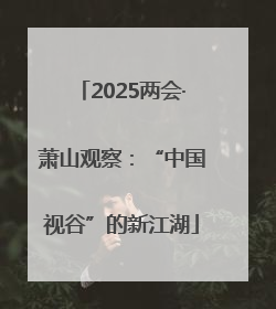 2025两会·萧山观察：“中国视谷”的新江湖