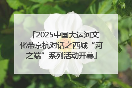 2025中国大运河文化带京杭对话之西城“河之端”系列活动开幕