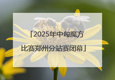2025年中匈魔方比赛郑州分站赛闭幕