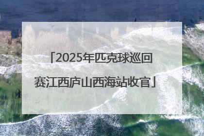 2025年匹克球巡回赛江西庐山西海站收官