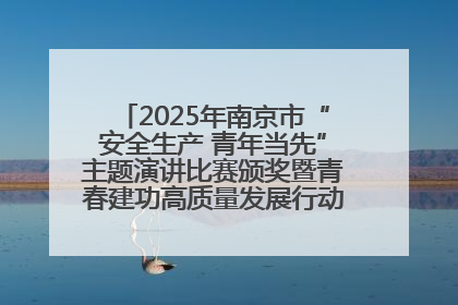 2025年南京市“安全生产 青年当先”主题演讲比赛颁奖暨青春建功高质量发展行动出征仪式举行