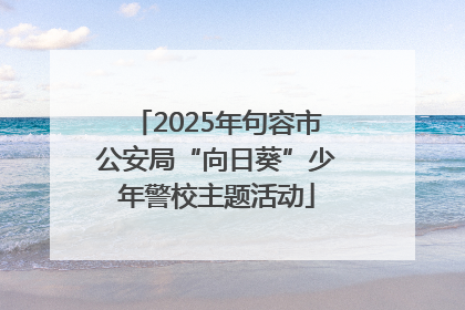 2025年句容市公安局“向日葵”少年警校主题活动