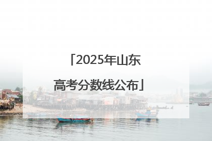 2025年山东高考分数线公布