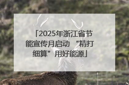 2025年浙江省节能宣传月启动 “精打细算”用好能源