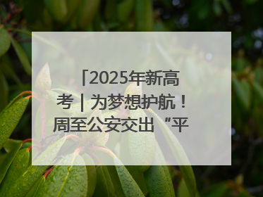 2025年新高考｜为梦想护航！周至公安交出“平安答卷”