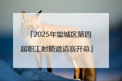 2025年望城区第四届职工射箭邀请赛开幕
