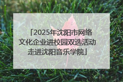 2025年沈阳市网络文化企业进校园双选活动走进沈阳音乐学院
