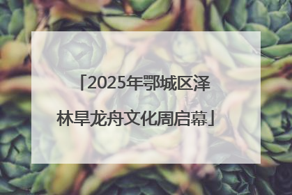 2025年鄂城区泽林旱龙舟文化周启幕