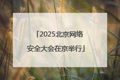 2025北京网络安全大会在京举行