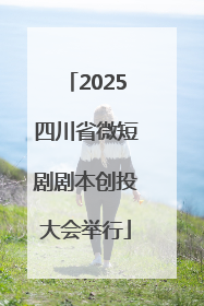 2025四川省微短剧剧本创投大会举行