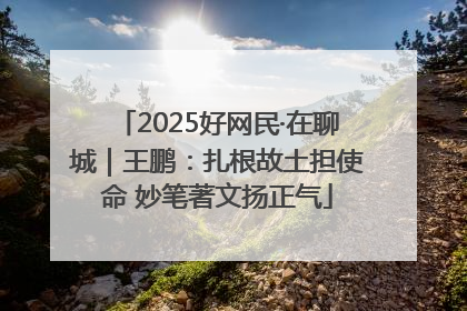 2025好网民·在聊城｜王鹏：扎根故土担使命 妙笔著文扬正气