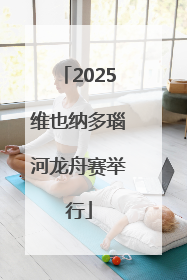 2025维也纳多瑙河龙舟赛举行