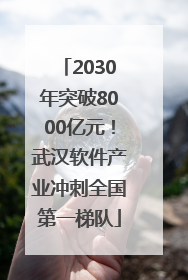 2030年突破8000亿元！武汉软件产业冲刺全国第一梯队