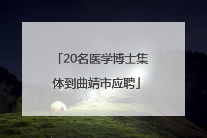 20名医学博士集体到曲靖市应聘