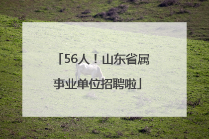56人！山东省属事业单位招聘啦