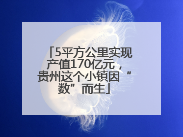 5平方公里实现产值170亿元，贵州这个小镇因“数”而生