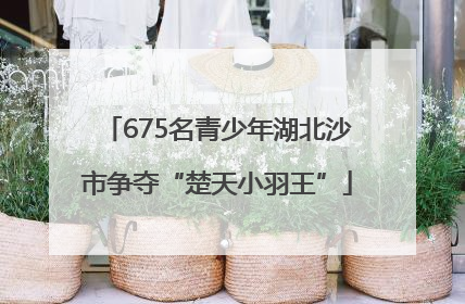 675名青少年湖北沙市争夺“楚天小羽王”