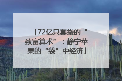 72亿只套袋的“致富算术”：静宁苹果的“袋”中经济