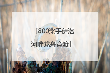 800桨手伊洛河畔龙舟竞渡