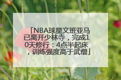 NBA球星文班亚马已离开少林寺，完成10天修行：4点半起床，训练强度高于武僧