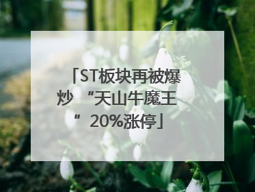 ST板块再被爆炒 “天山牛魔王”20%涨停